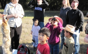 Public Events and Activities 
