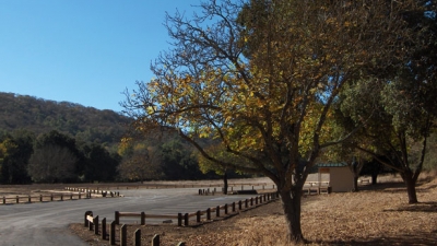 2005