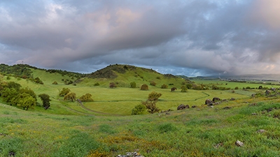 2015