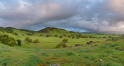 Coyote Valley