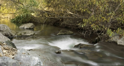 Upper Coyote Creek