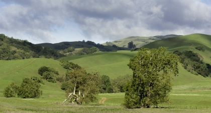 Sargent Hills