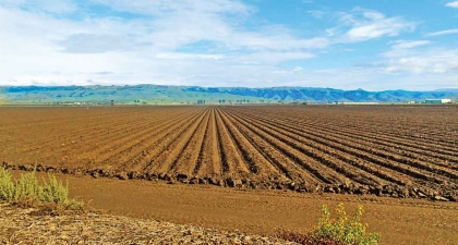 Pajaro River Agricultural Preserve