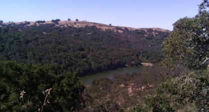 Upper Penitencia Creek