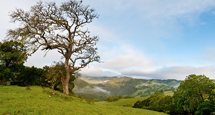 Rancho Cañada Del Oro